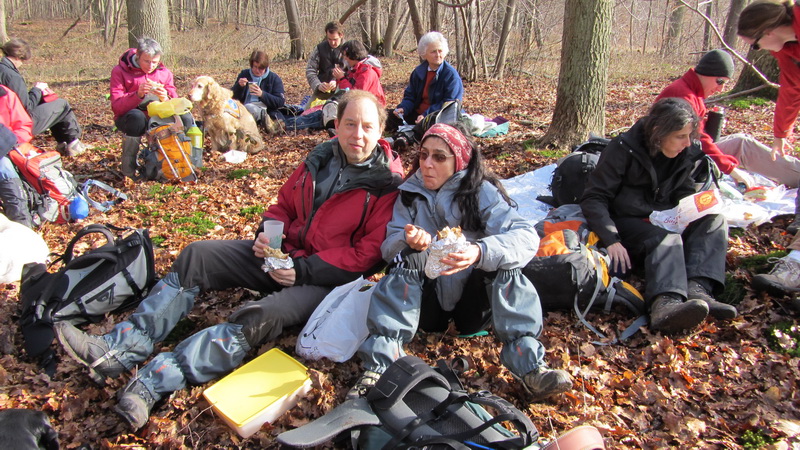 La pause repas en forêt de Chantilly