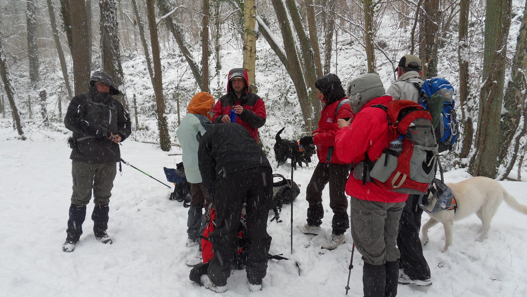 Saint Rémy en conditions extrèmes: le groupe glacé