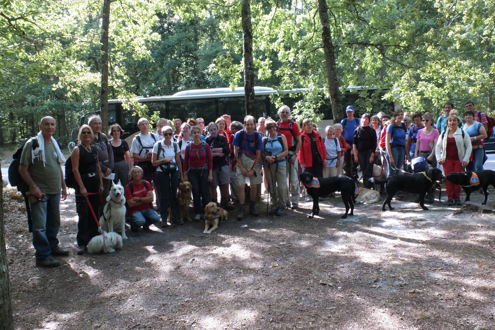 Photo du groupe