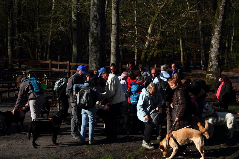 A Barbizon, &agrave; la descente du car