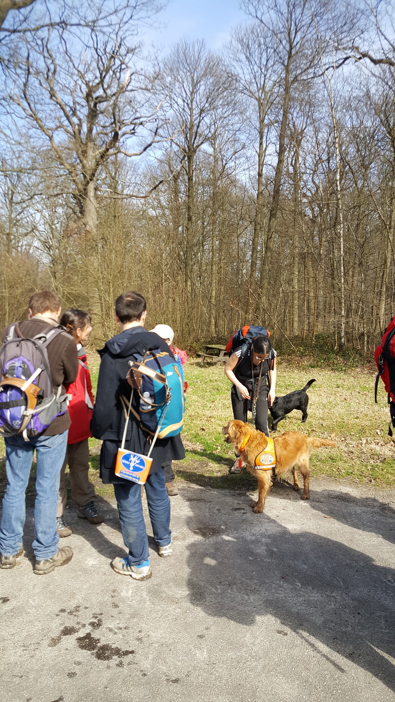 Le groupe