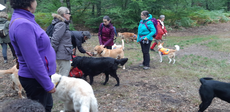 Rando Restau 2019: la Patte dans la nature