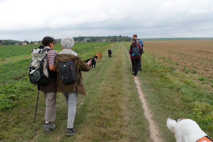 Dans la plaine à Saint Rémy