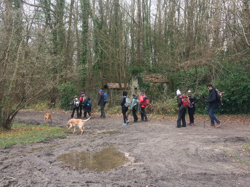 Le groupe