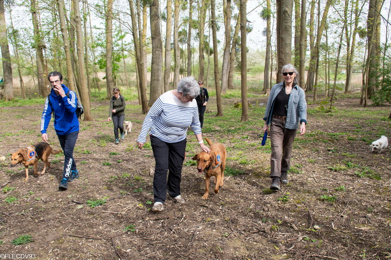 Les chiens et leurs accompagnateursfont le tour du lac