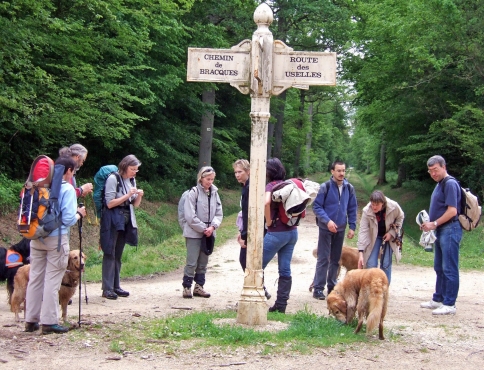 groupe à un carrefour