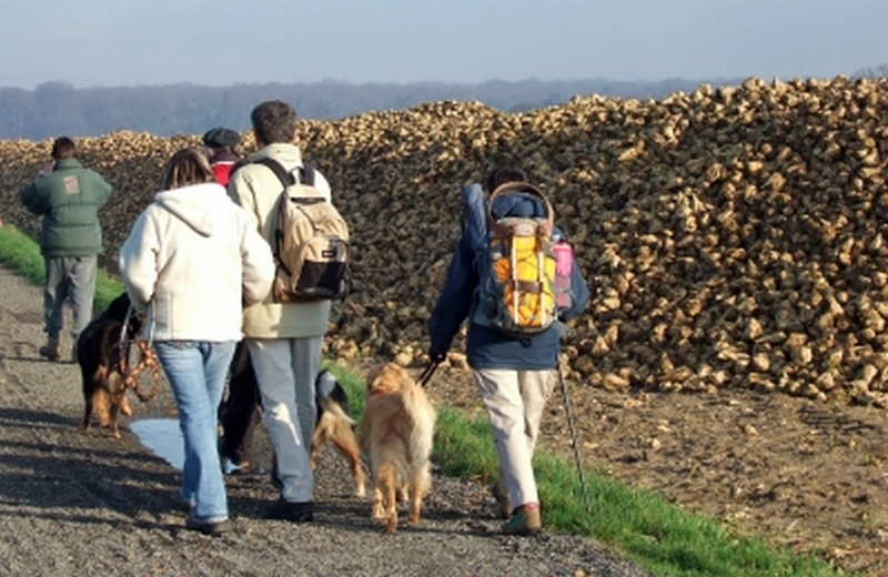 groupe devant des betteraves