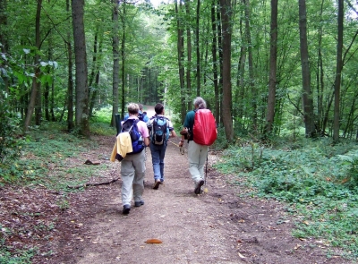 groupe forêt au printemps