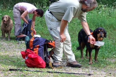 les chiens-guides se d&eacute;salt&egrave;rent