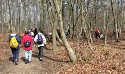 groupe2 forêt en automne