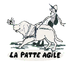 logo Patte agile